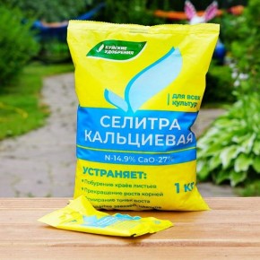 ������ ����� � ��������� ����� ��� �������� ���������� �������