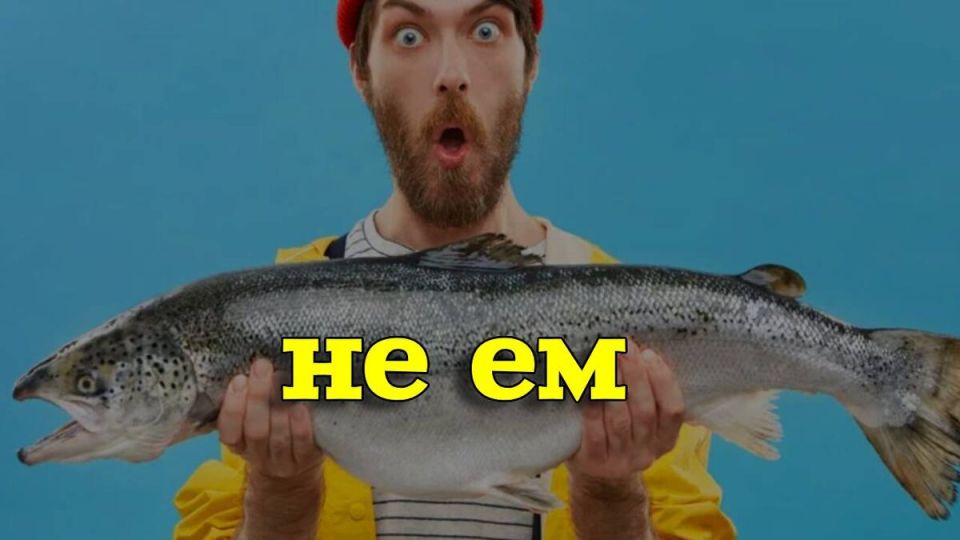 ������ � ����������� ������� ����: ������ ����