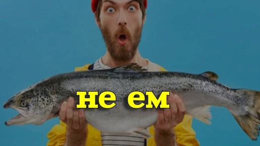 ������ � ����������� ������� ����: ������ ����