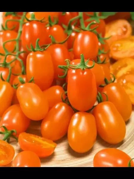 Томат Одат: яркий японский гибрид с высоким урожаем и удивительным вкусом