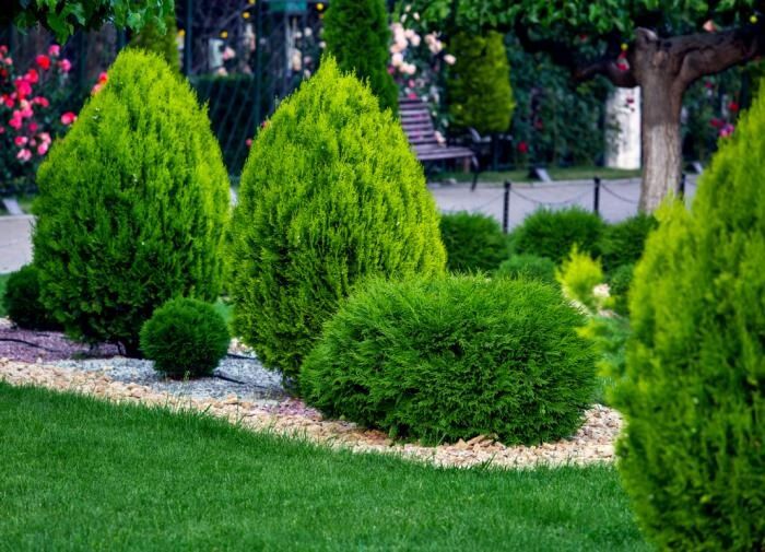 ��� ��������� ����������� ����� � ����: ������ ����