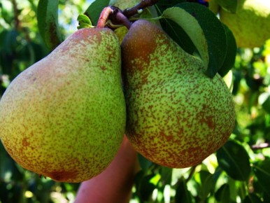 ������� ��������� � ��������� ����: ��� ����� ����� �� ���