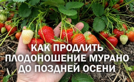 ������������ ������� ����� �� ��������� ������ ��� ������ �� �������� �����