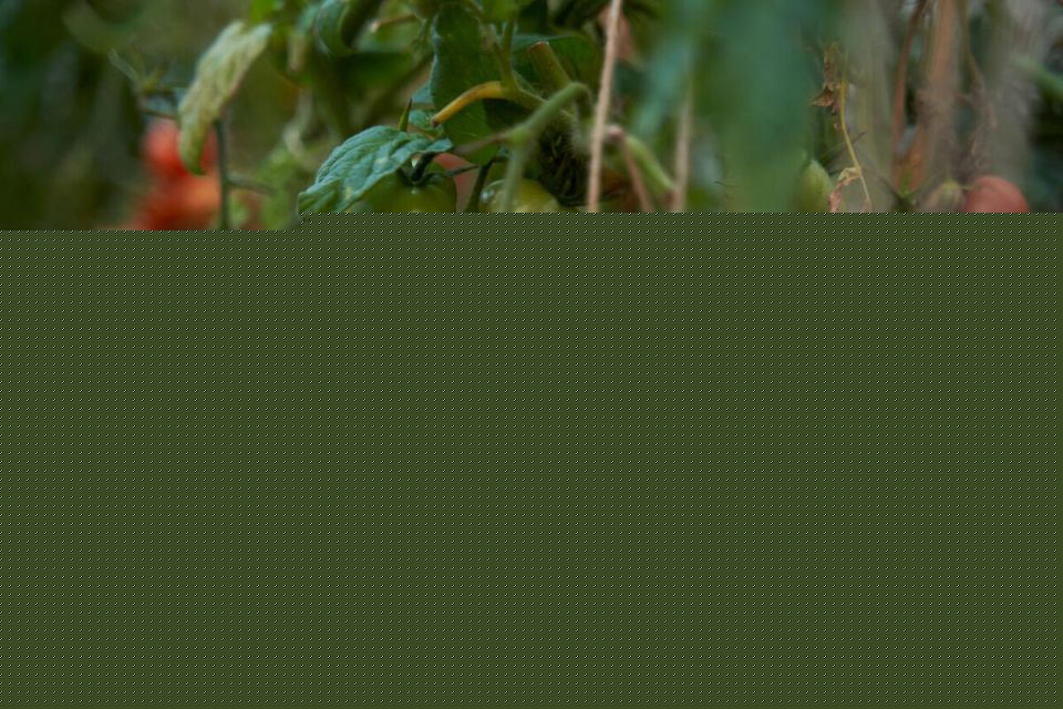 ��� ��������� ������� ������ ��� �������� ������