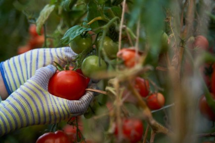 ��� ��������� ������� ������ ��� �������� ������