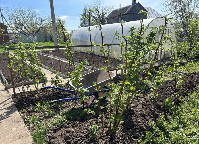 ��� ��������� �������� ������� �� ����: �������� ������ ��� ���������