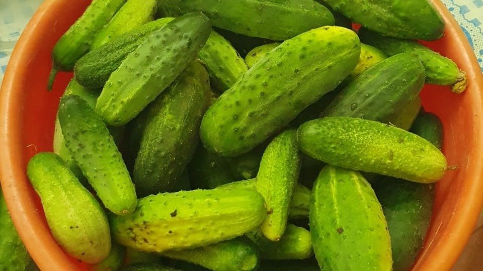 ������� ������: ���������� ������� �������� ������� �������