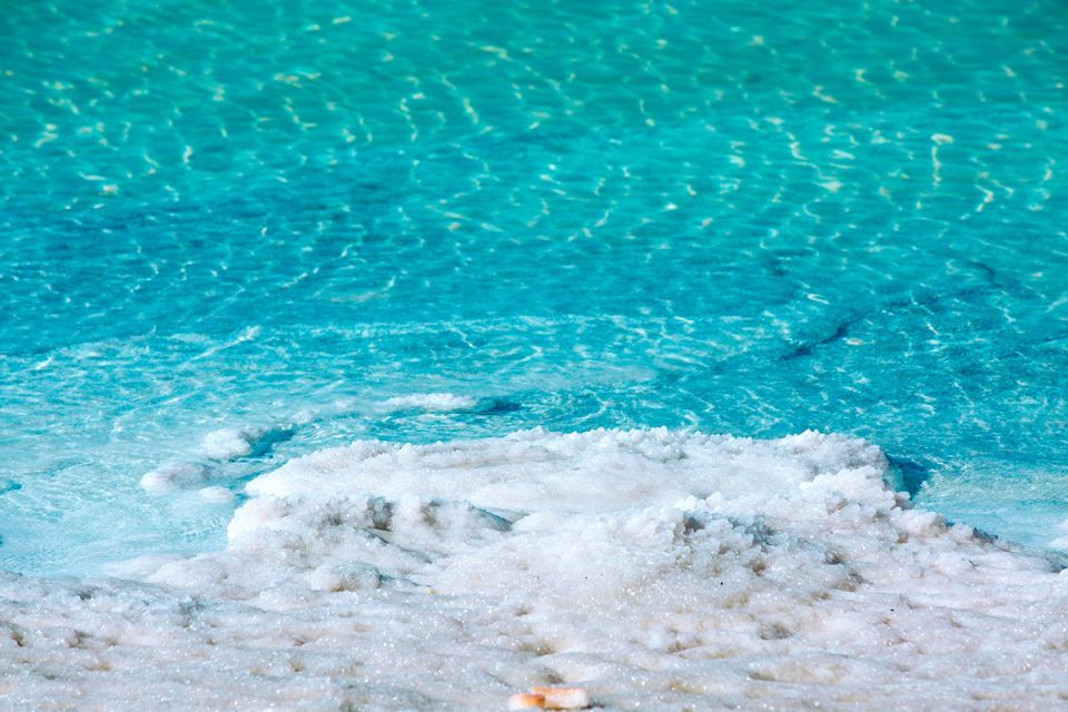 ������� �������: ����� ������� ���� ���� � ������