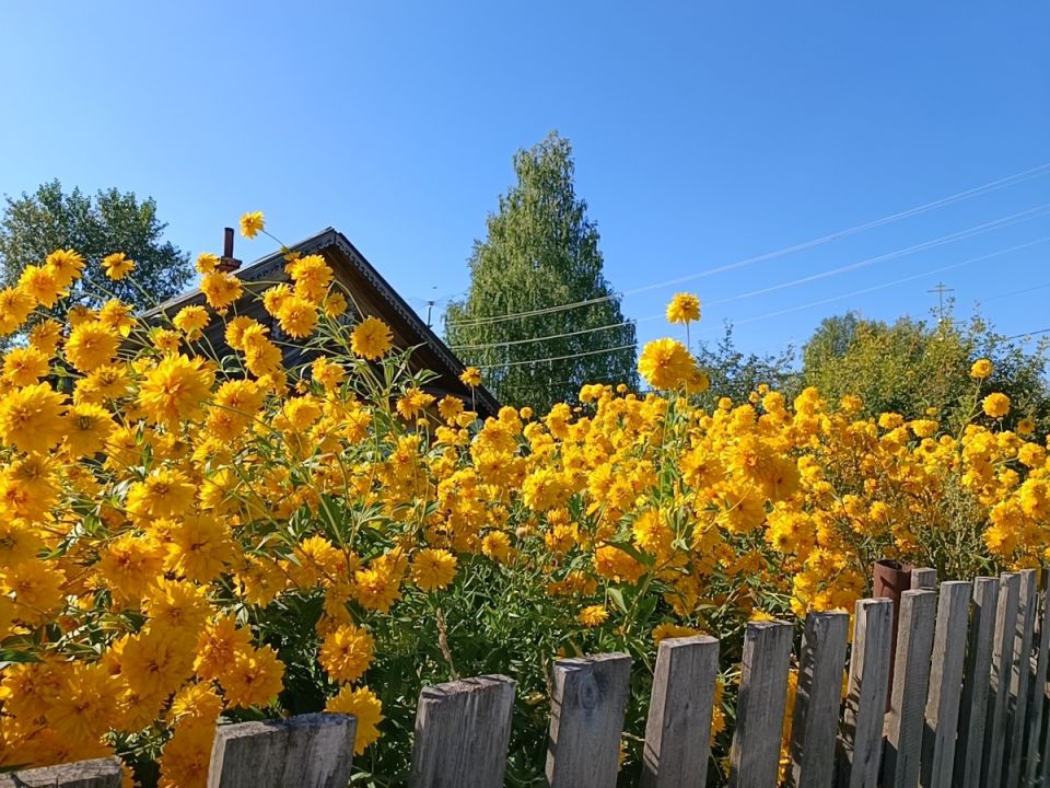 ����� �� �������: ������� ��������� ����������� ������� � �������� �������