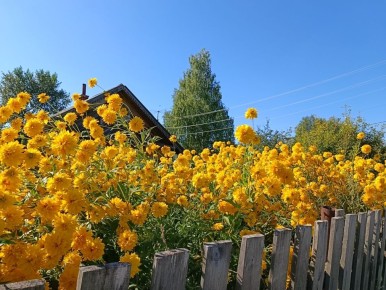 ����� �� �������: ������� ��������� ����������� ������� � �������� �������