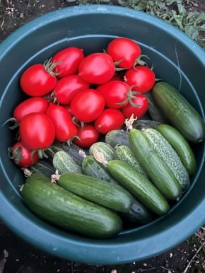 ����� ������������� ������� ������? ��� ������ ������������ ��� ��������