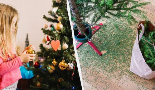 ����� ���� ��������� � �����: ��������, ������� � ������