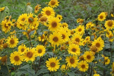 ���������: ��� ��������� ��������� ���� �� ����� �������