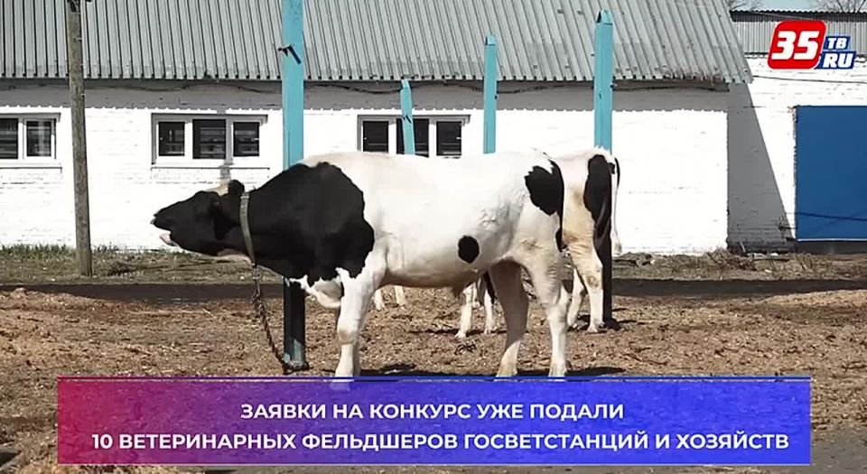 ������� ������������� ��������� ������� � ����������� �������