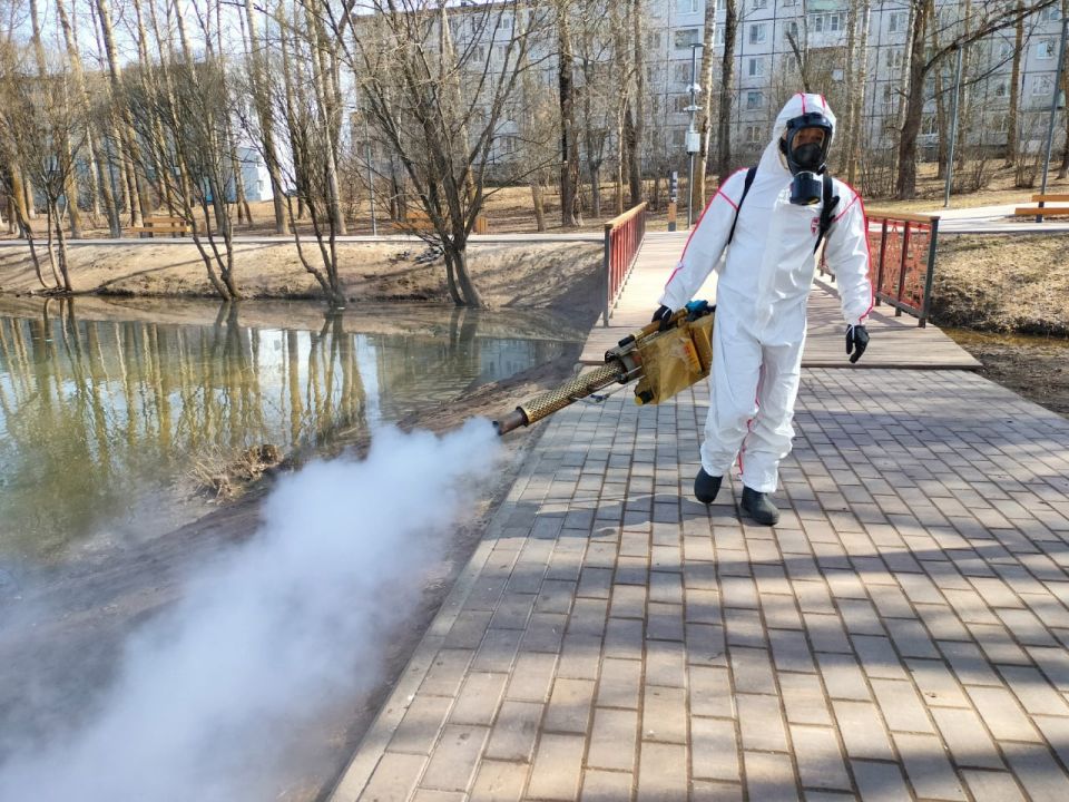 �����35.�� ������ ������������ � ����� ��� ��� ���������� ��������