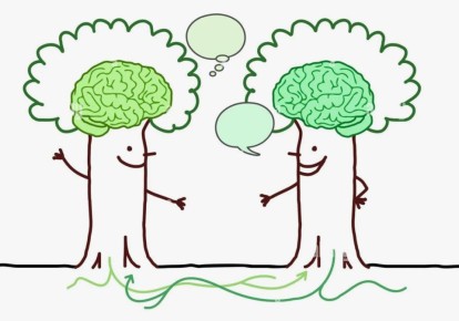 �������� � ���������: ������������ ��� ������ ������, � ������� �� �� �����������