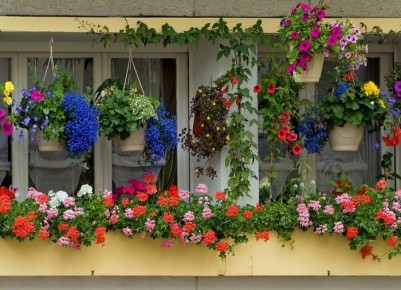 ����� �� �������: ������ ������ ������������