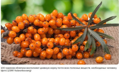 ��������� �������� �� ����: ������� � �������� �������