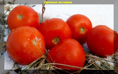 ��������� ������ �������: ������ ������� ������ � ������� �������