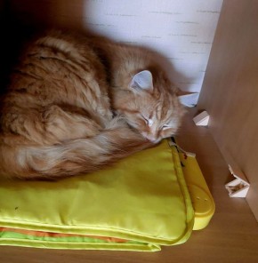 ����� ����� �� ������: ��� ����� ������� ������ �� ��������