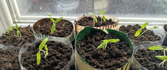 ��� ������ �� ��������� �������� ������� ��������� � ������