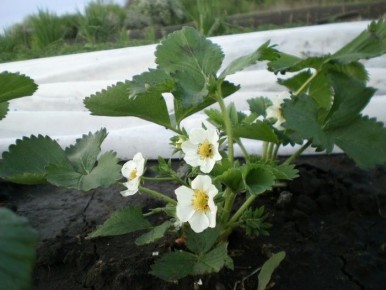 ��� �� ����� ������ � ��������� ������: ��� ������ � �������� ������ ��������