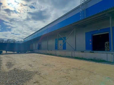 ��� ������ � ������������� ������ Ozon ����� ����� ����� ��������� � ���������� ����������