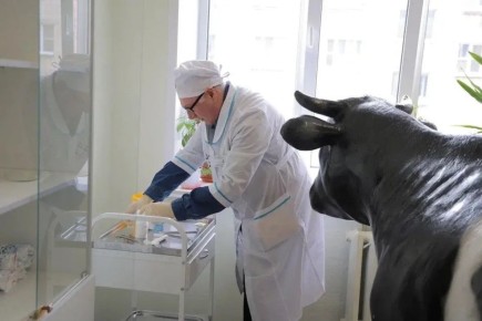 ������ �������� �� ������ � ������ ������������ �������� �����������