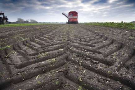 ��� ������� � ����� ����� �������� ����������� ��������� � ����� ��� �����