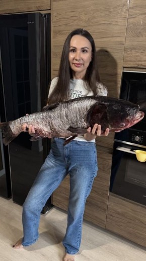 ��� ����������� ������������ � ��������� ��������