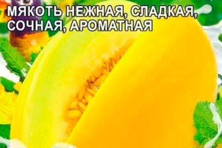 ���� ������� ������ � ����� ������� ����� ���������