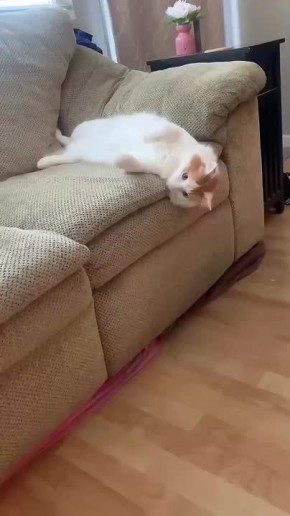 ���� �� ������� +1,+6� ������� (�� �������) �� +11�, ���������, ������� ��������� ������ � ���� ������� ����� � �����, (�� �������) ������� �������