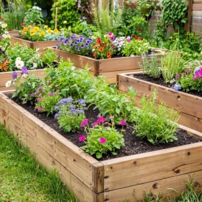 ������� ������: �������� ������ � �������� � ����� � �����