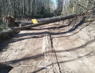 � ����������-���������� ������ �� ���������� ������������ �������� ���������� ��������� ���� �� ����� ���������� ����� ������ ���������� � ����� ������� �������