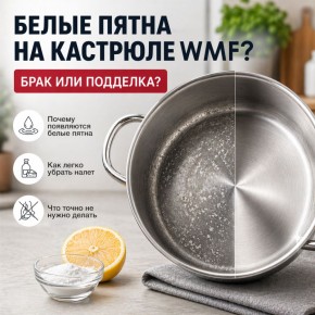 ������� ����� �� �������� WMF: ��� ��� ����������?