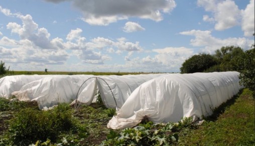 ��������� ��� �������� ������ � ��������