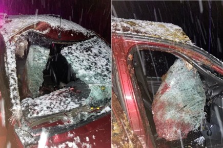 � ���������� ������ �������� ������ ���� ����: �������� ����������������