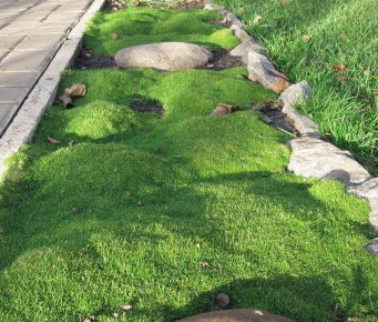 ������: ��������� �������������� ��� ���� � ������������ �����������