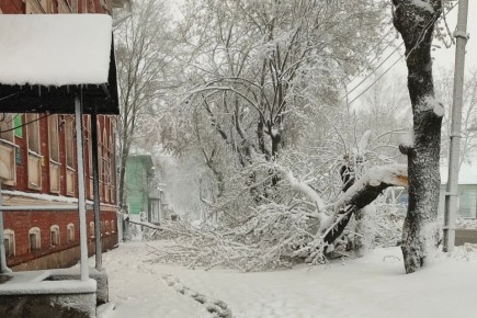 ������ �������� ������� ����������� ������� ��������� ��������� ������ ������ � �������� ��������� ����