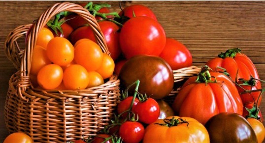 ������, ������� ������ ���� �������� �������� � ����