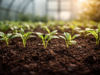 ��� �������� ������� �� ���������� ����������: �������� ������