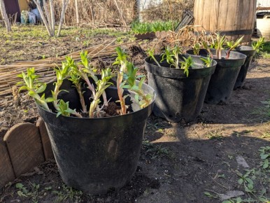 ��� ���������� ����� � �������� ��������: ��������� �����������