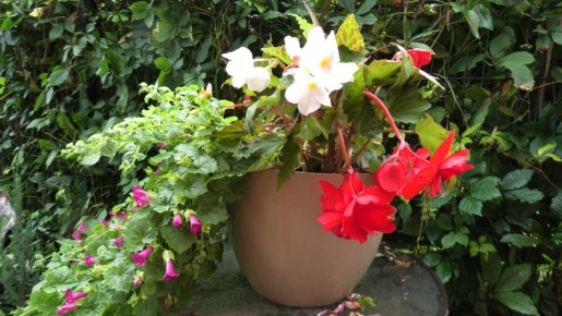 ����� ��������� �������� ��� ������������� ����: ������������ � ���������� � ����� ������ �������