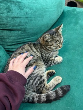 �����35.�� ������� ��������� � ����� � ���������� �������� ��������-����