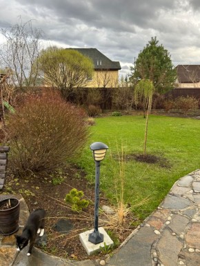 �����, ������� ������� ���������� ������ ���� ������� ���
