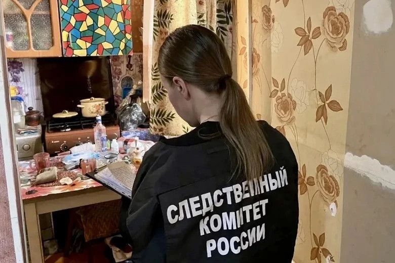 Житель Сокола во время застолья убил брата своей сожительницы