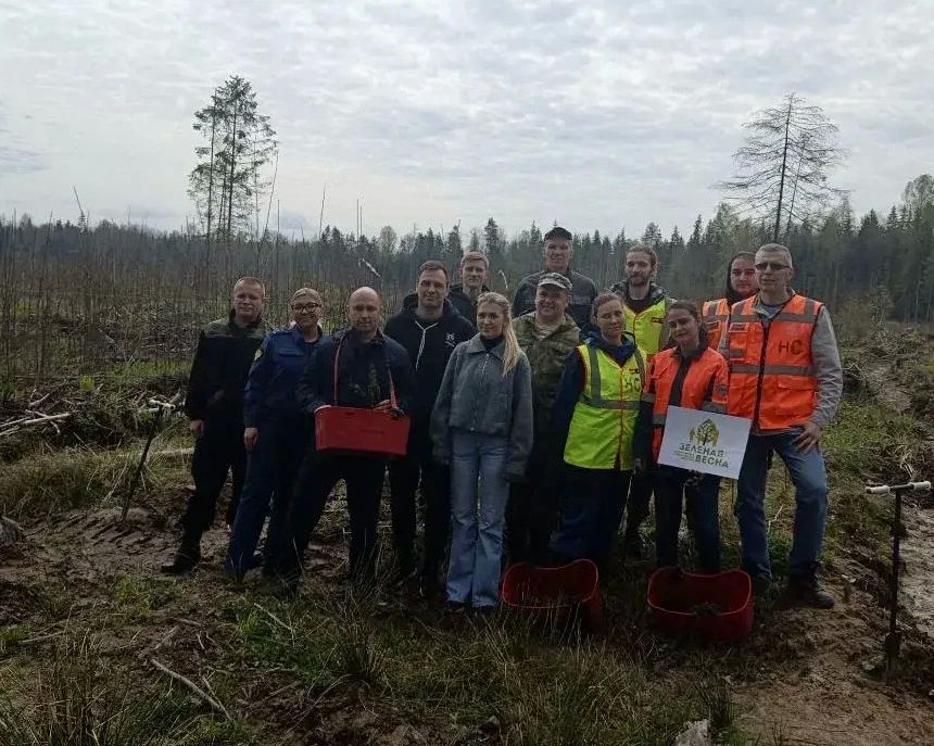 Работники прокуратуры Вологодской области приняли участие в Международной патриотической акции «Сад памяти»