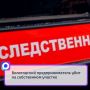 Трагедия произошла вечером 6 июня в деревне Телячьево