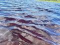 В Вологде ищут тело 17-летнего подростка, утонувшего в реке