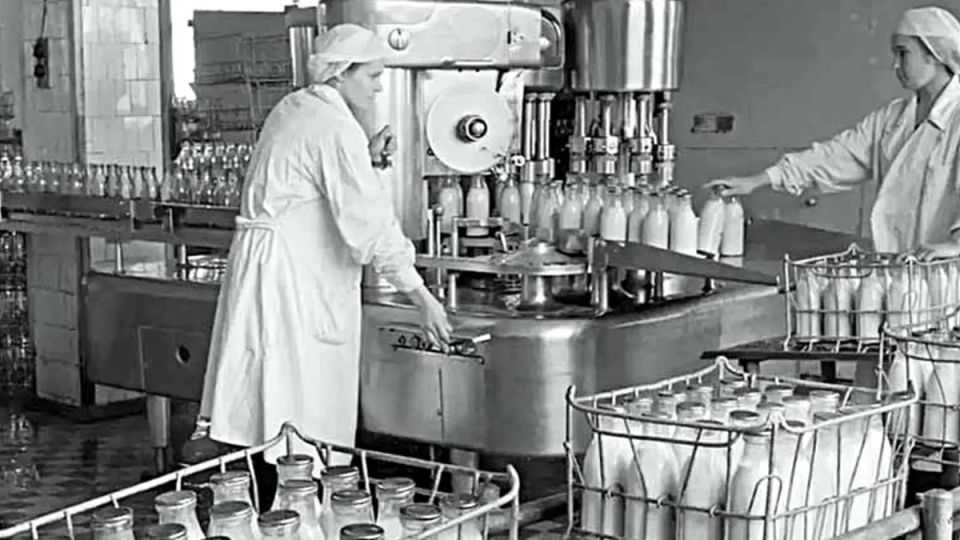 Потерянные ценности: продукты из СССР, которые сегодня вызывают недоверие